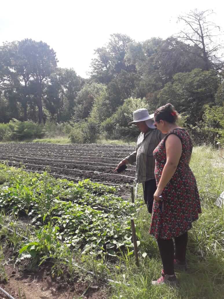 campo hortalizas