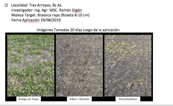 Alternativas para el manejo de crucíferas resistentes 1 rotam