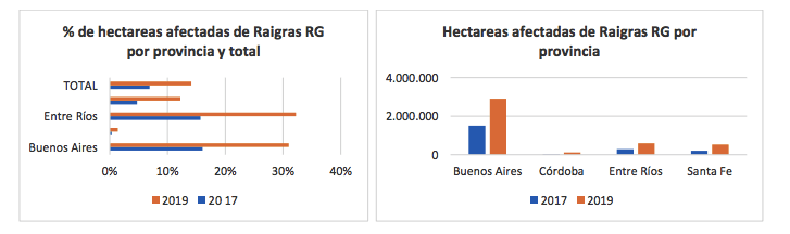 Raigrás, un banco que crece 1 Summit Agro Cuadro Infocampo
