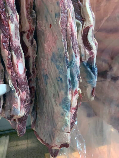 En Venado Tuerto, un mega supermercado quería vender 1.000 kg de carne vacuna en mal estado 2 carne podrida venado tuerto infocampo