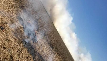 incendios