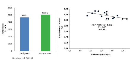 Conociendo la nutrición de trigo para formar su rendimiento 9 gráfico