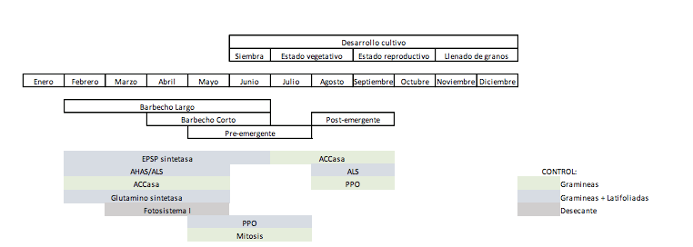Raigrás, un banco que crece 6 summit agro cuadro4 infocampo