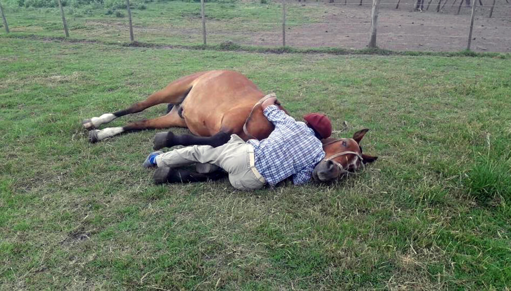 trabajo rural