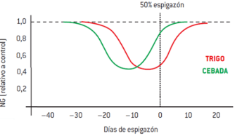Conociendo la nutrición de trigo para formar su rendimiento 2 gráfico