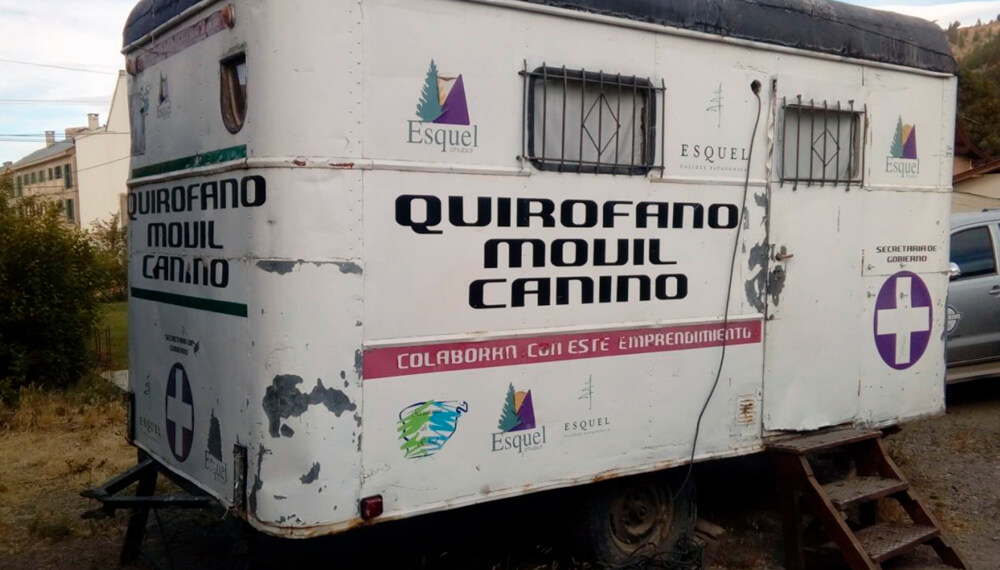 Brucelosis canina: vigilancia epidemiológica activa en Esquel 2 brucelosis senasa