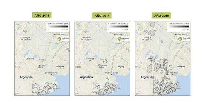 Los nabos y una problemática que crece 2 Captura de pantalla 2020 05 11 a las 12.09.44