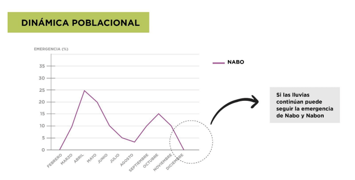 Los nabos y una problemática que crece 3 Captura de pantalla 2020 05 11 a las 12.12.58