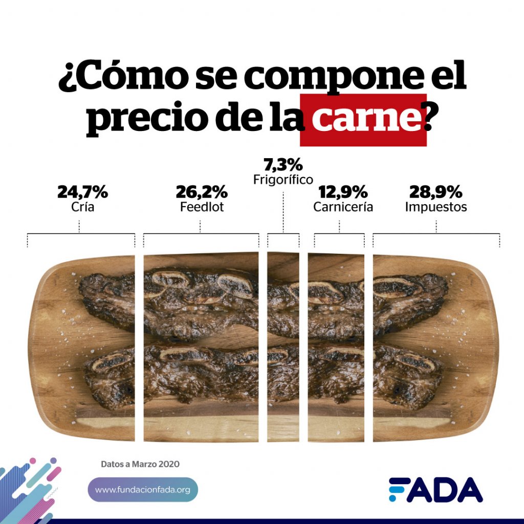 Info CARNE Redes