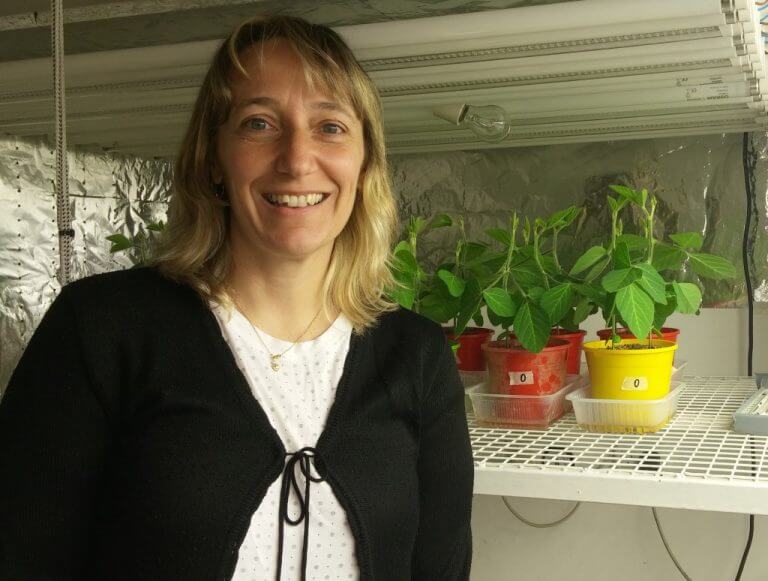 Karina Balestrasse Profesora de la cátedra de Bioquímica FAUBA