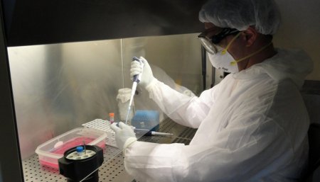 laboratorio inta
