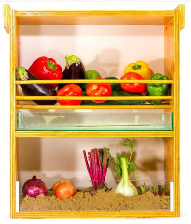 verduras