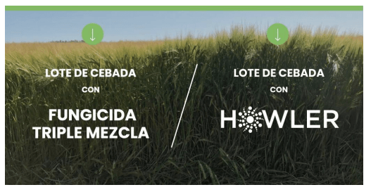 La prevención, un factor clave para tratar las enfermedades en los cultivos de invierno 1 Captura de pantalla 2020 06 08 a las 13.58.36