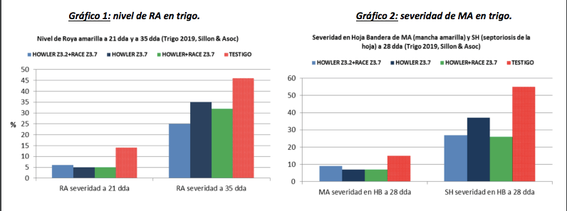 La prevención, un factor clave para tratar las enfermedades en los cultivos de invierno 2 Captura de pantalla 2020 06 08 a las 14.02.42