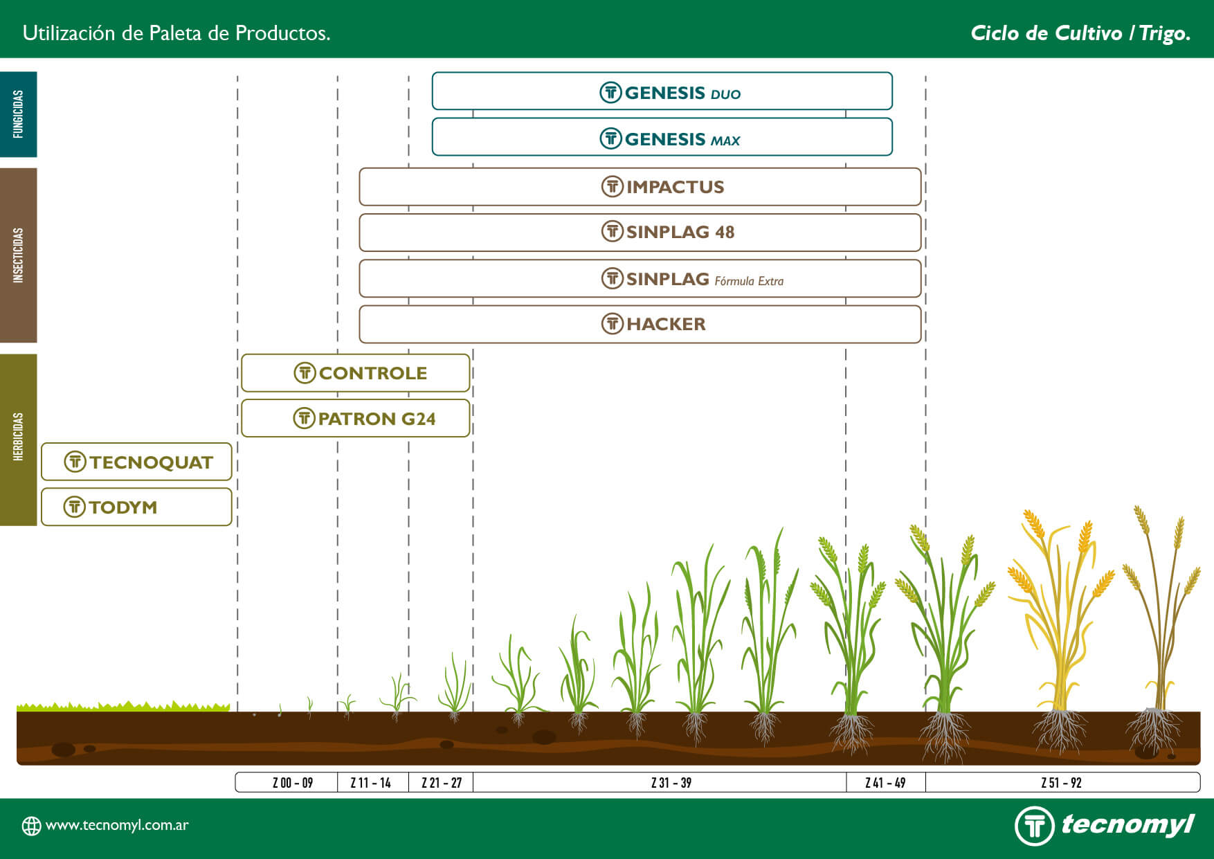 Ciclo de cultivo FINAL TRIGO 1
