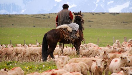 trabajador rural