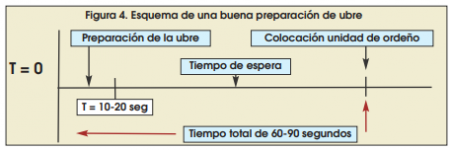 Rutina de ordeño: ¿Cuándo y cómo deben colocarse y retirarse las pezoneras? 2 1
