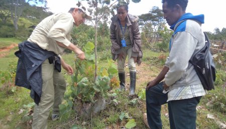 Arrancó en los '80 y hoy logró reforestar miles de hectáreas con "bosques subterráneos" 2 Bosques subterraneos infocampo