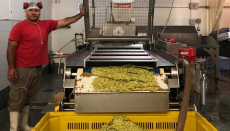 Una empresa busca transformar 400 toneladas anuales de residuos de fruta en biogás y biofertilizante 1 FRUTA infocampo