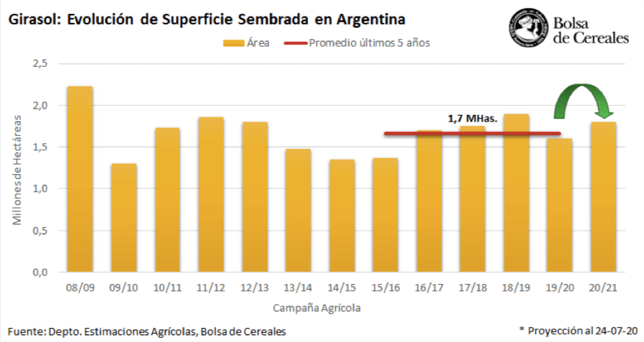 "La Niña" y la relación de precios, los estímulos para el aumento del área del girasol este ciclo 1 Grafico que muestra la intención de siembra de girasol 2020-21