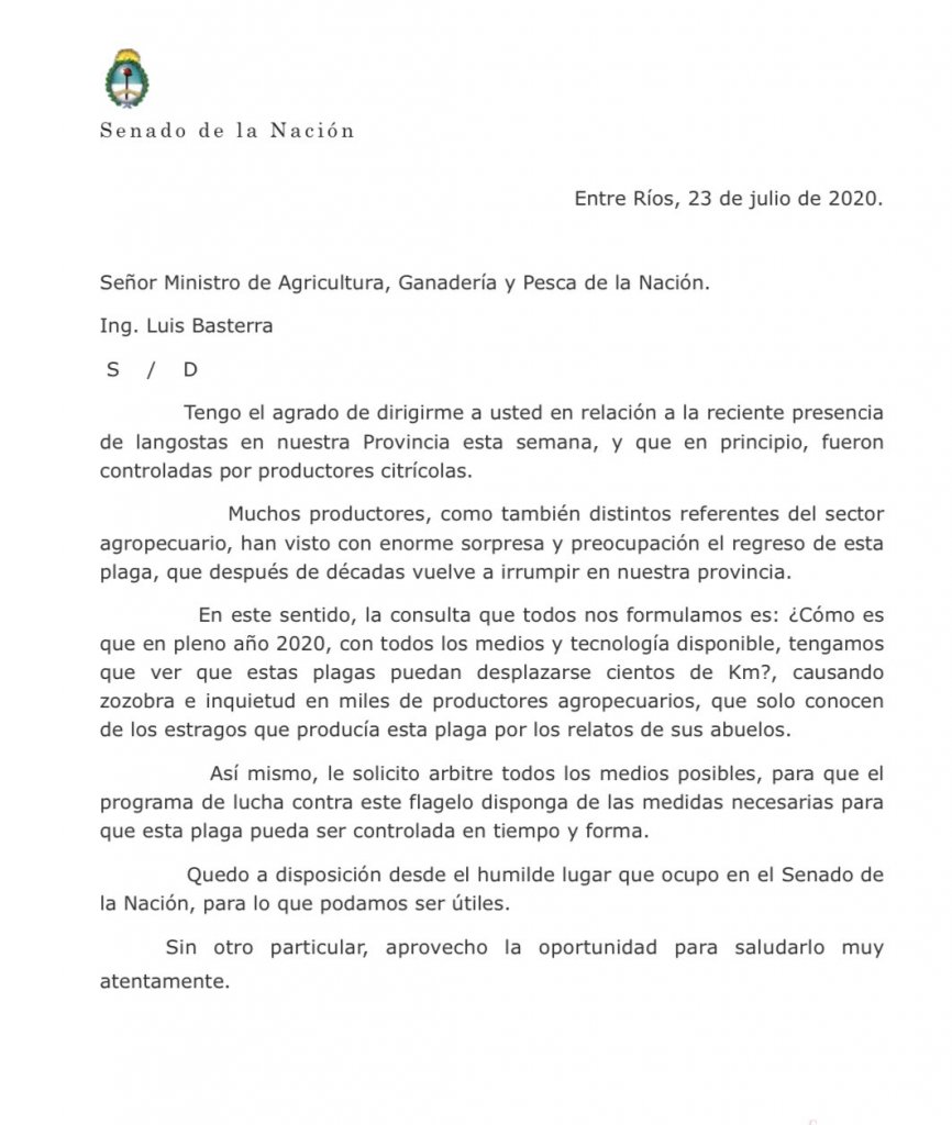 carta de angeli basterra