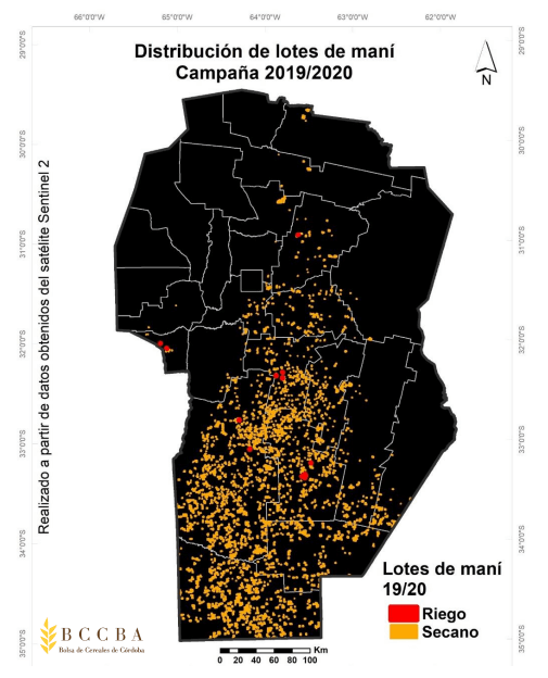 Córdoba: la producción de maní cayó 8% pero aseguran que los datos son positivos 1 cor 1 mani