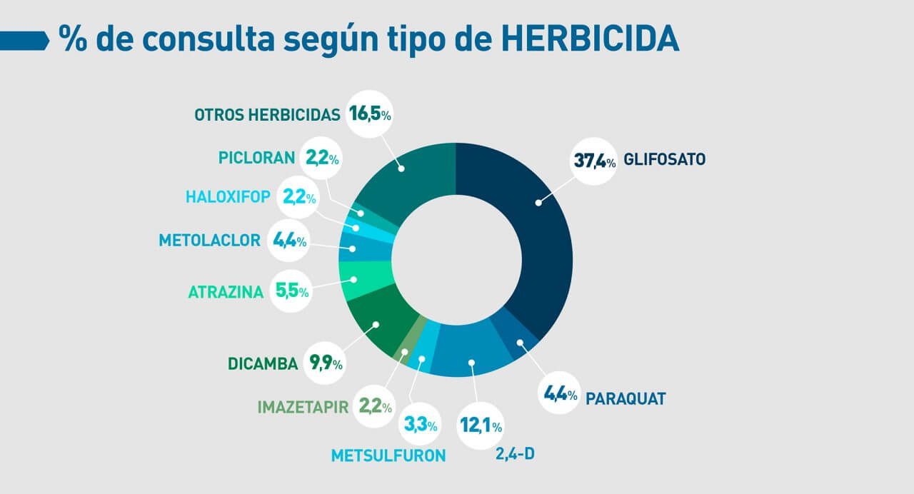 Aseguran que hubo más consultas por intoxicación con productos de limpieza que con agroquímicos 4 cuadro4 casafe