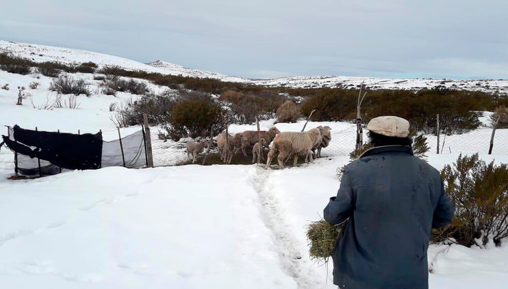 Las imágenes de la impresionante ola polar en el sur que mostró CRA: "El panorama es muy complicado" 9 ola polar cra