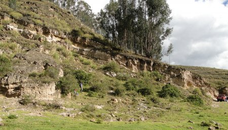 sitio 5 infocampo