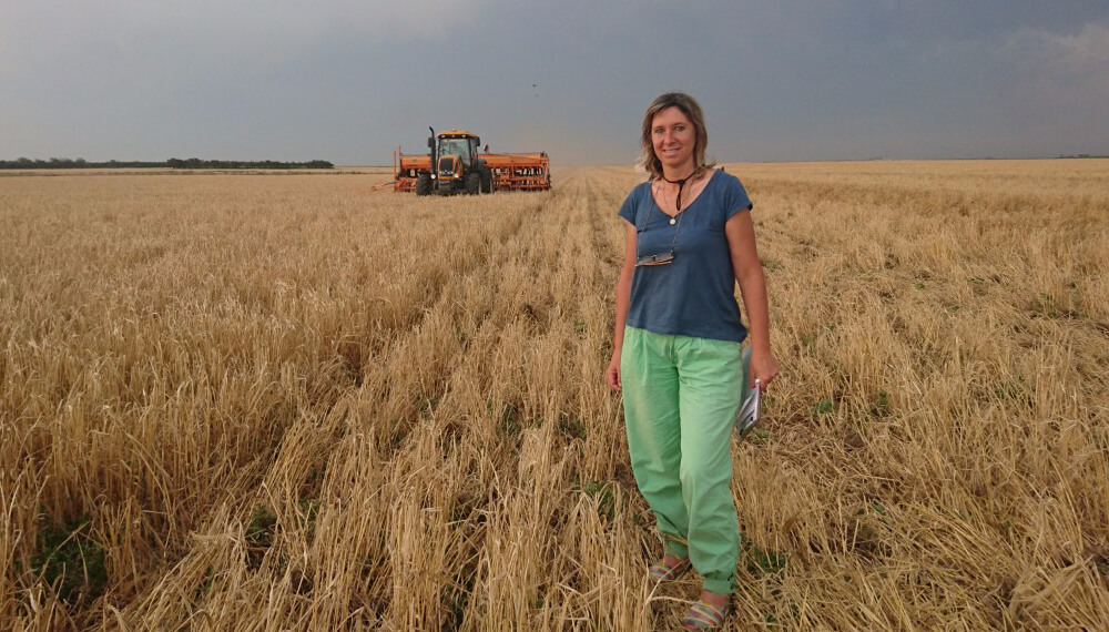 El mejor año para ver la diferencia: sembraron trigo HB4 y, sin lluvias por 4 meses, está increíble 1 Flavia Sedmak Productora