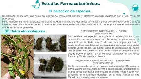 datos etnobotanicos infocampo