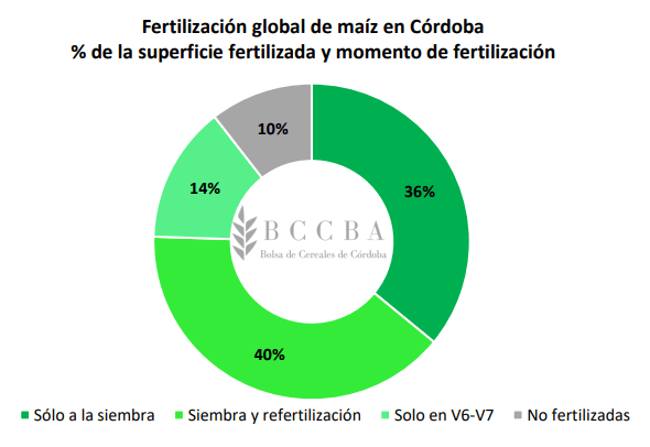Córdoba: se aplicaron 65 kg de nitrógeno y 16 kg de fósforo promedio por hectárea en los maíces de 2019/20 1 ferti maiz cordoba