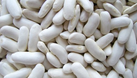 porotos alubia
