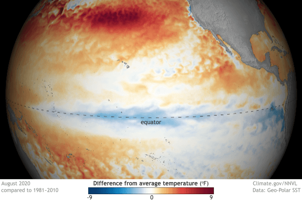 Informe final: con todos los indicadores confirmados, la "aguja" del pronóstico dio el veredicto 2 La Niña Enfriamiento ecuatorial