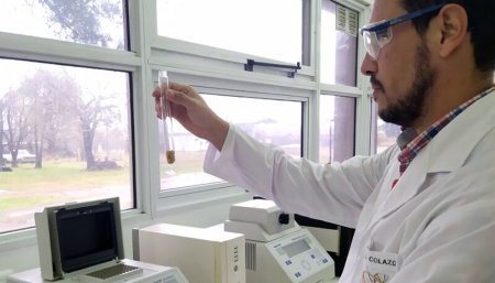 Un trabajo sin precedentes: desarrollan la primera base de datos moleculares para el arroz 1 banco arroz infocampo