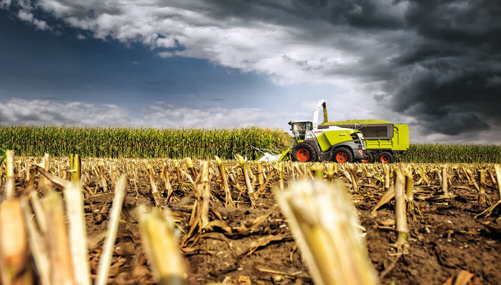 claas infocampo