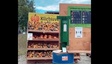huerta munich
