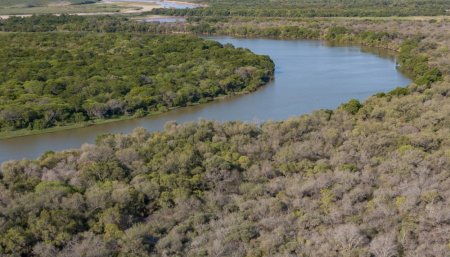Cruzaron un macho silvestre y una hembra cautiva de yaguareté para salvar a una especie en extinción en el Gran Chaco 1 Corral de Yaguarete Impenetrable Fundacion Rewilding Argentina infocampo
