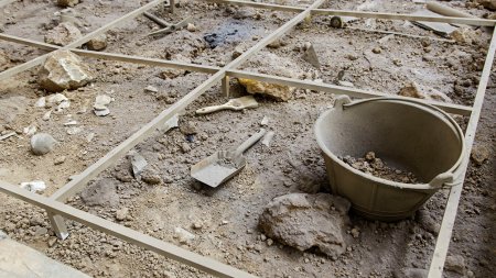 Revelan que la conservación de alimentos tiene 300 mil años y se hacía con cenizas 1 cenizas infocampo