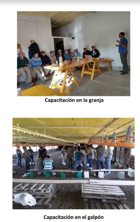 Visita a la granja: ¿Recorredor, Supervisor o Extensionista? 2 provimi2