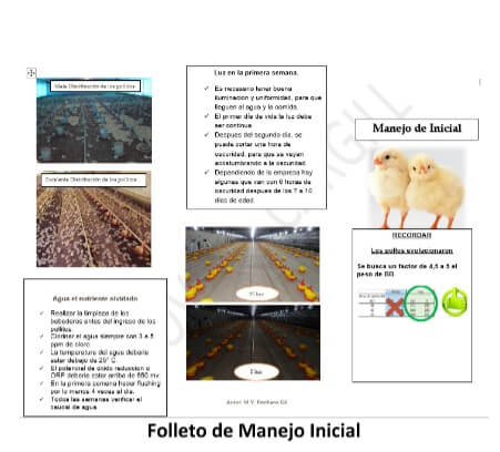 Visita a la granja: ¿Recorredor, Supervisor o Extensionista? 3 provimi3