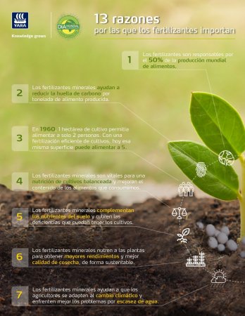 Aseguran que la mitad de la producción mundial de alimentos se debe a los fertilizantes 1 yara infocampo