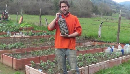 Preparar un fertilizante natural y muy nutritivo es posible con desechos de las gallinas 1 Abono orgánico nitrógeno infocampo