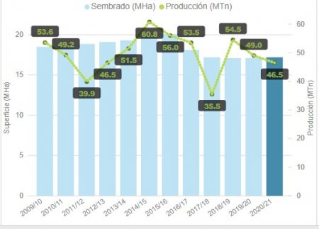 Manejo integrado de malezas: los “colorados” no pasan de moda 1 superficie sembrada summit infocampo