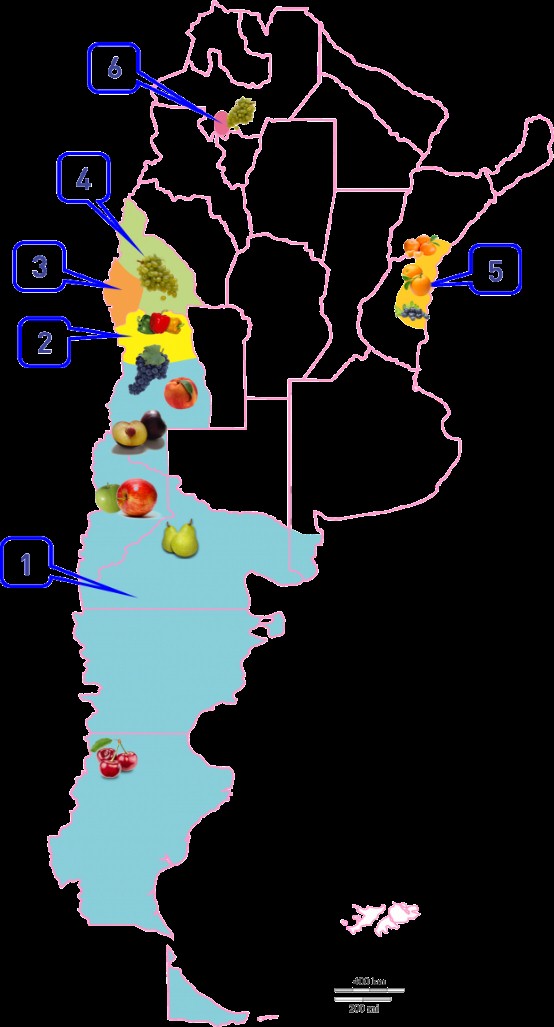Control de Mosca del Mediterráneo: con frío es mejor 5 6senasa