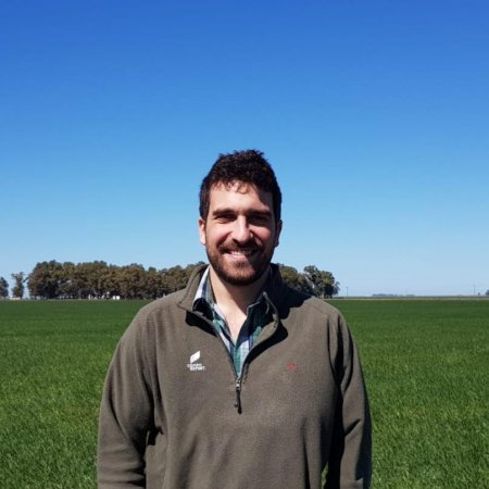 cirolini compo expert infocampo