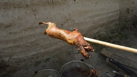 Cuba promueve el consumo de carne de cobayo y asegura que tiene más proteína que la bovina y porcina 1 coballo cocido infocampo