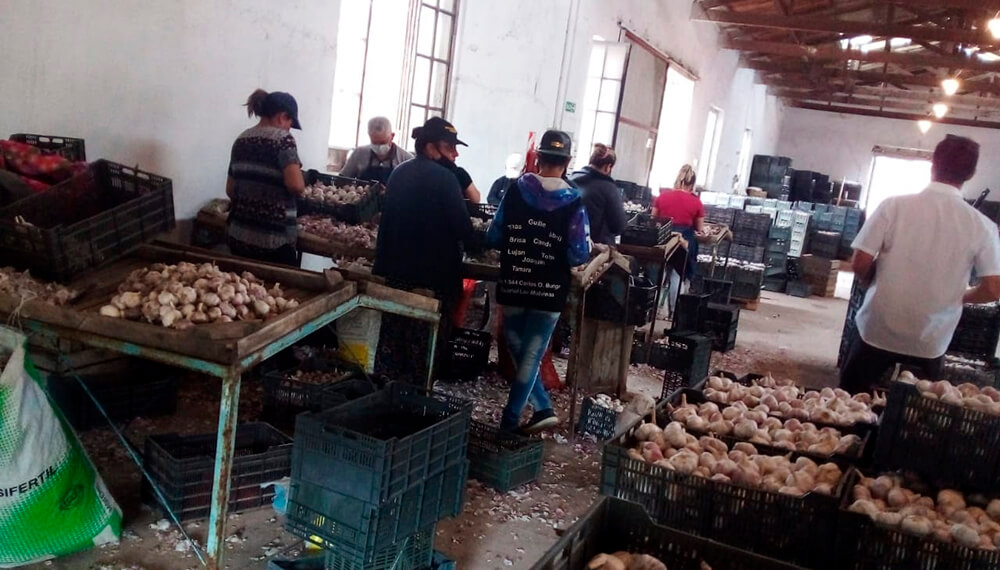 Detectaron trabajo infantil en establecimientos hortícolas de Mendoza 1 unnamed 3