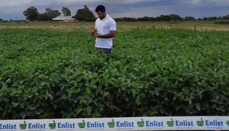 corteva enlist infocampo