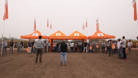 dar infocampo